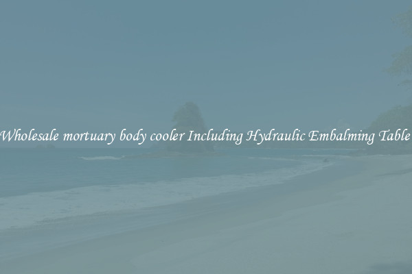 Wholesale mortuary body cooler Including Hydraulic Embalming Table 