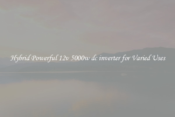 Hybrid Powerful 12v 5000w dc inverter for Varied Uses