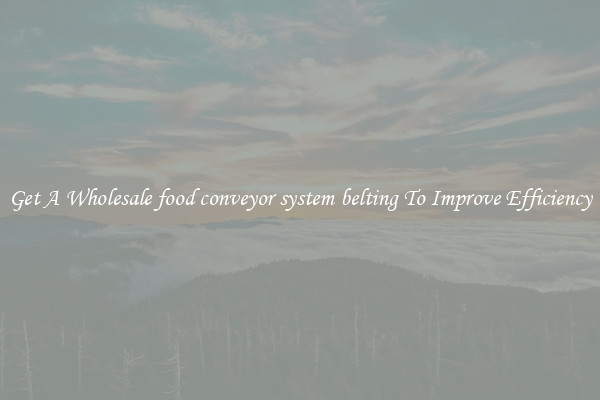 Get A Wholesale food conveyor system belting To Improve Efficiency