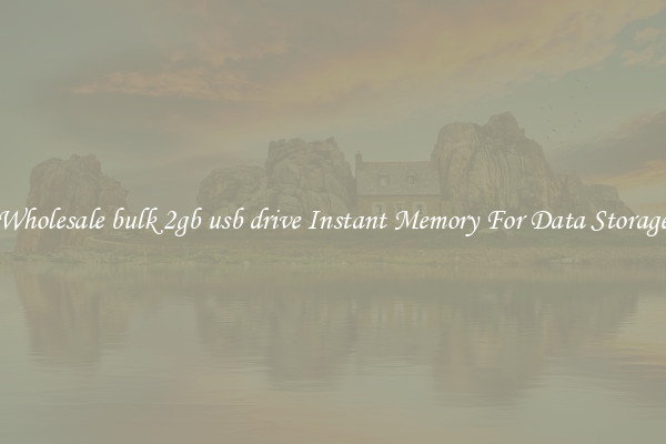 Wholesale bulk 2gb usb drive Instant Memory For Data Storage