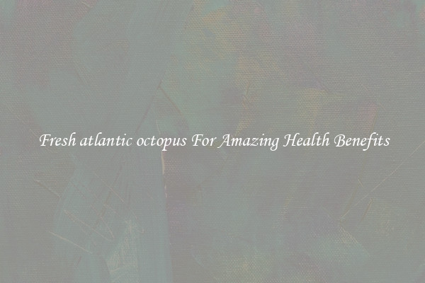 Fresh atlantic octopus For Amazing Health Benefits