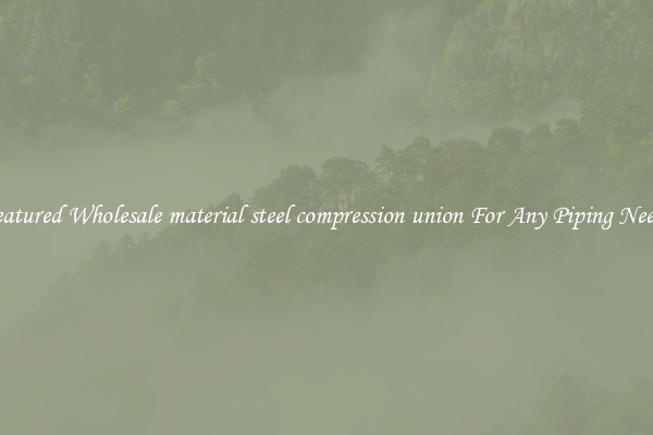 Featured Wholesale material steel compression union For Any Piping Needs