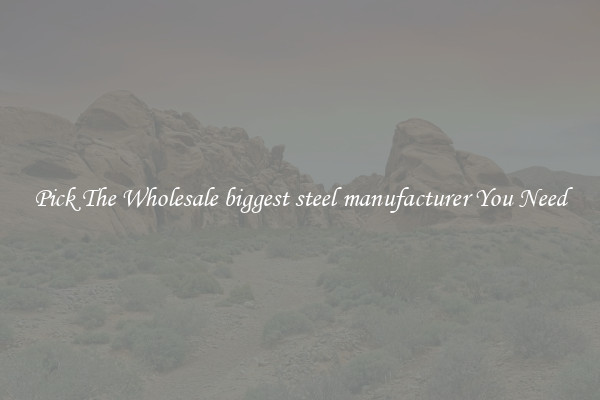 Pick The Wholesale biggest steel manufacturer You Need