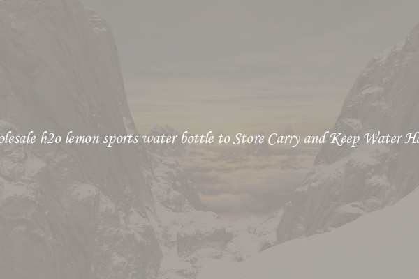 Wholesale h2o lemon sports water bottle to Store Carry and Keep Water Handy