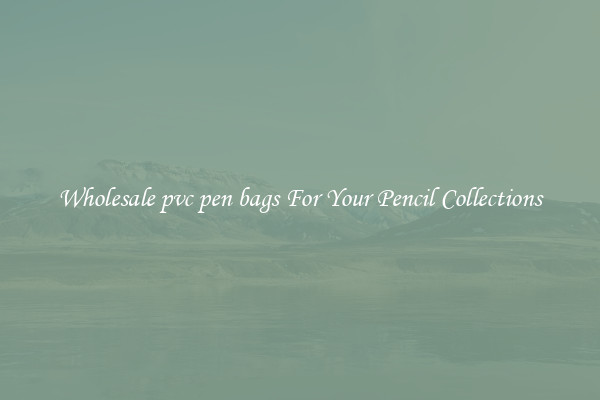 Wholesale pvc pen bags For Your Pencil Collections