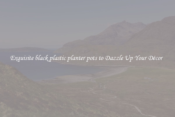 Exquisite black plastic planter pots to Dazzle Up Your Décor  