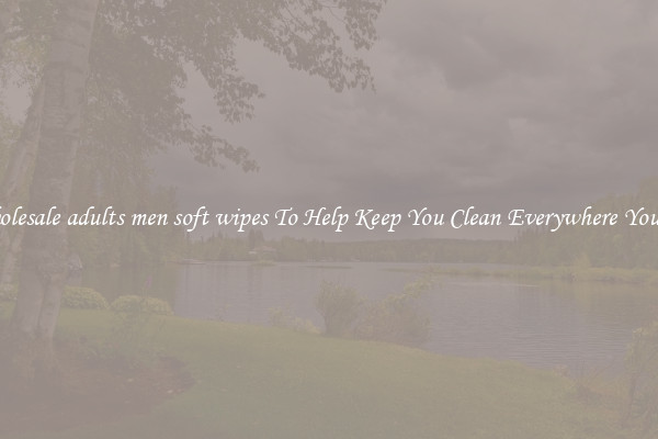 Wholesale adults men soft wipes To Help Keep You Clean Everywhere You Go