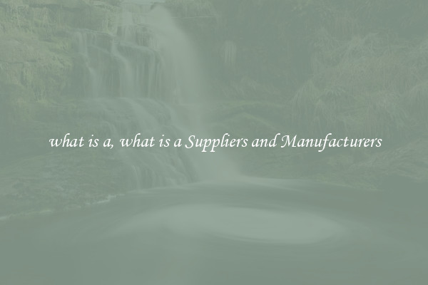 what is a, what is a Suppliers and Manufacturers