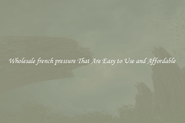 Wholesale french pressure That Are Easy to Use and Affordable 