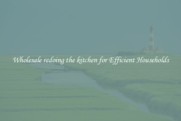 Wholesale redoing the kitchen for Efficient Households
