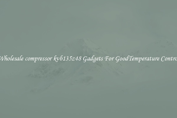 Wholesale compressor kvb135z48 Gadgets For GoodTemperature Control