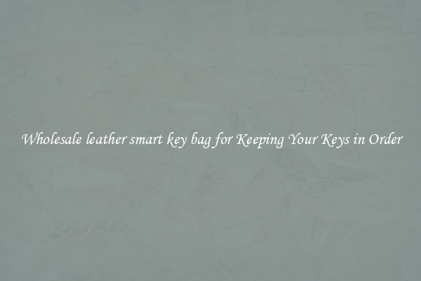 Wholesale leather smart key bag for Keeping Your Keys in Order