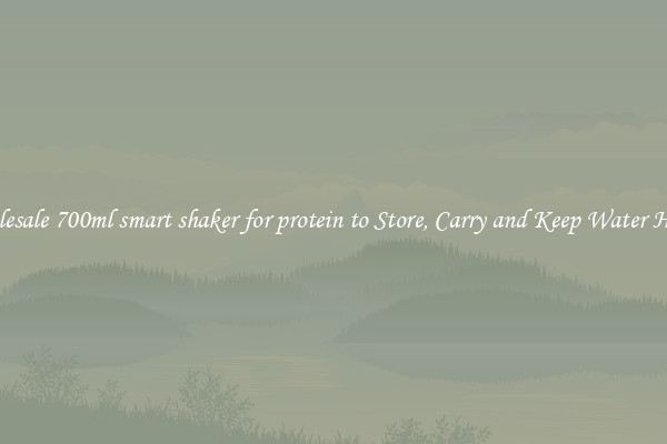 Wholesale 700ml smart shaker for protein to Store, Carry and Keep Water Handy