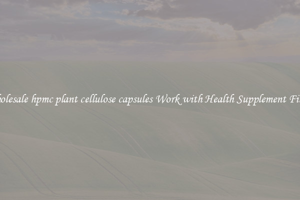 Wholesale hpmc plant cellulose capsules Work with Health Supplement Fillers